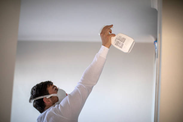Best Black Mold Removal  in Fairmont, WV