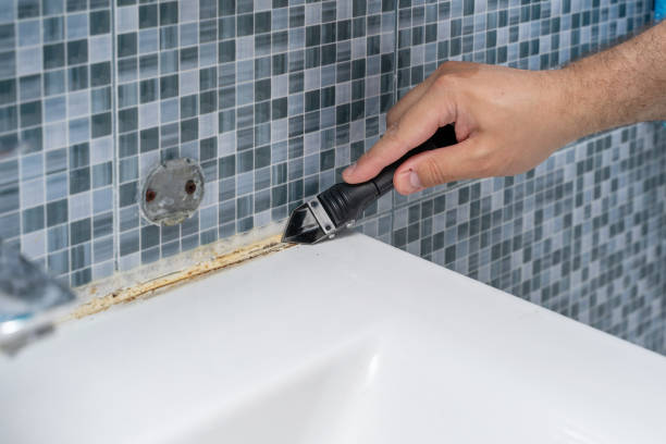 Best Certified Mold Removal  in Fairmont, WV
